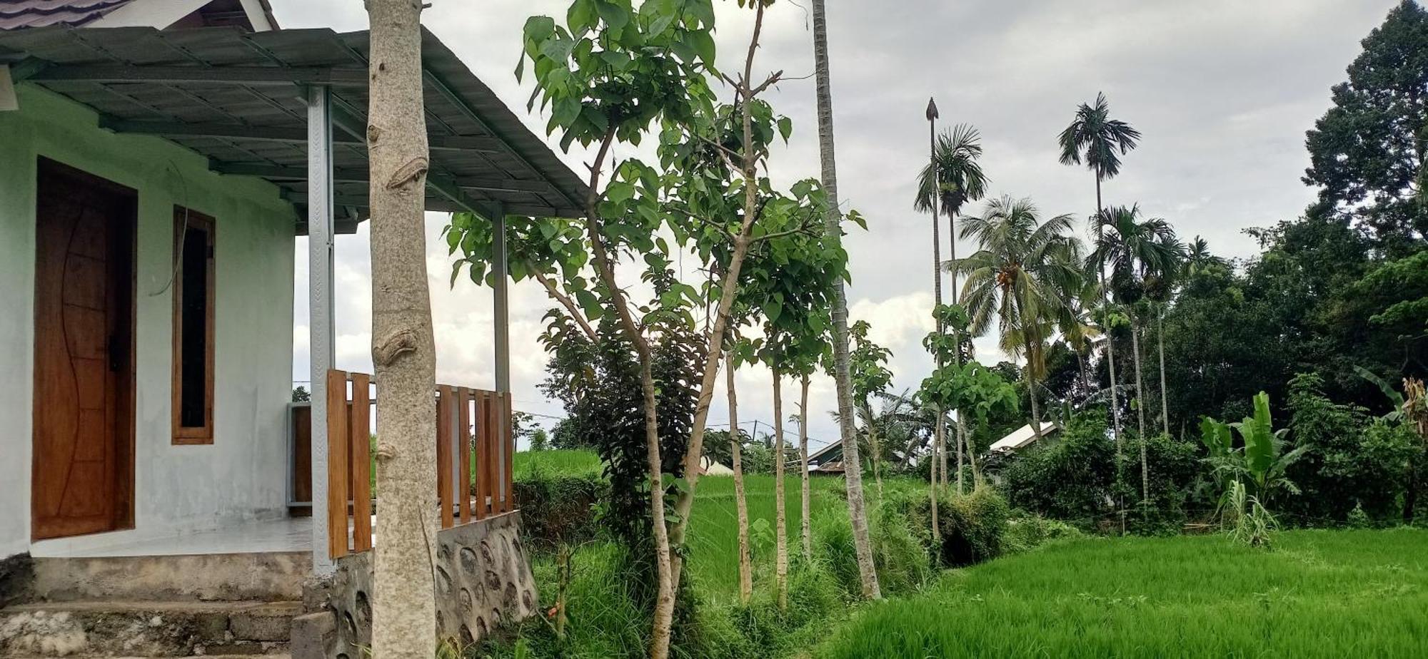 Bayan Exotic Homestay Сенару Экстерьер фото