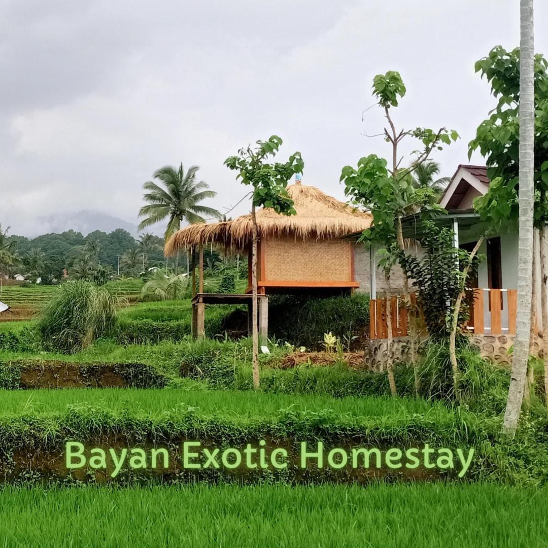 Bayan Exotic Homestay Сенару Экстерьер фото