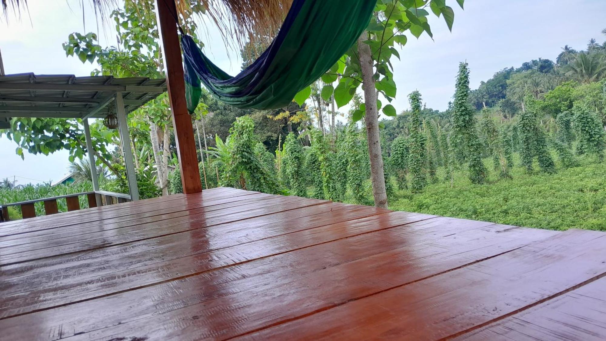 Bayan Exotic Homestay Сенару Экстерьер фото